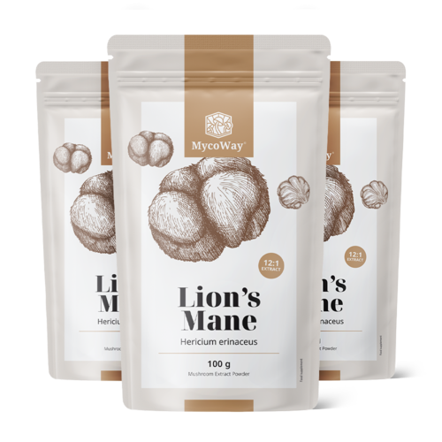 3x Testa di scimmia (Criniera di leone) – estratto 12:1, totale 300 g