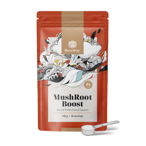 MushRoot Boost – bevanda per capacità cognitive, 100 g
