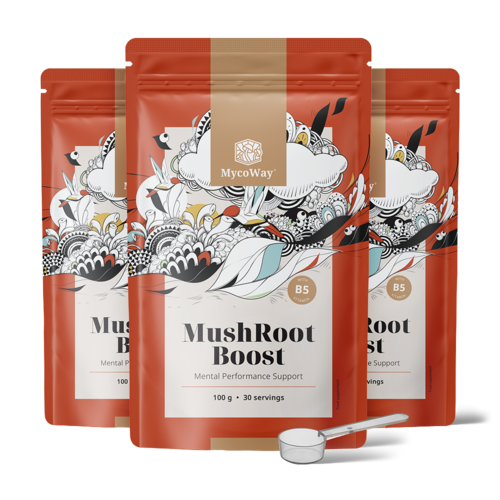 3x MushRoot Boost – bevanda per capacità cognitive, totale 300 g
