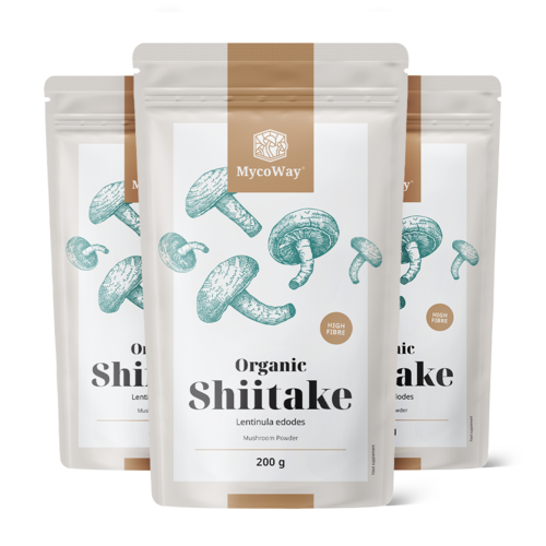 3x BIO Shiitake in polvere, totale 600 g
