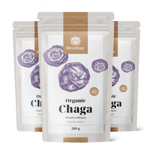 3x BIO Chaga in polvere, totale 600 g