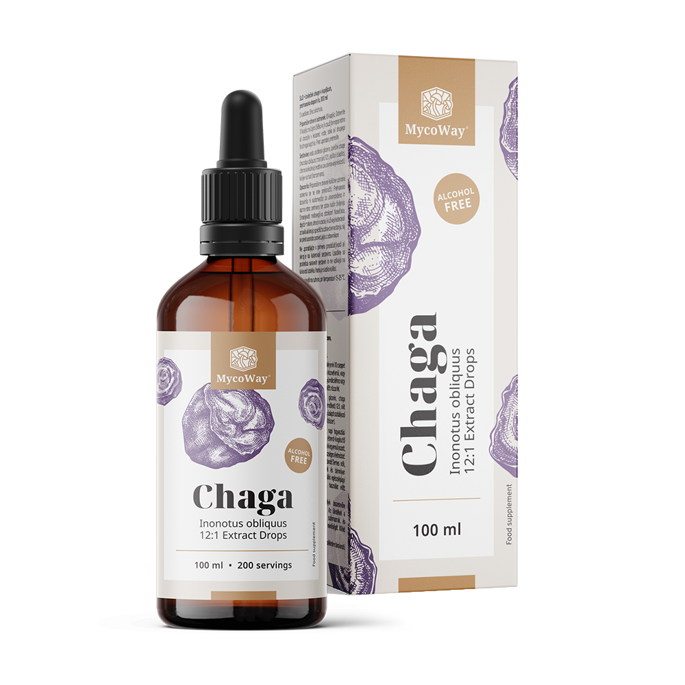 Chaga – estratto in gocce