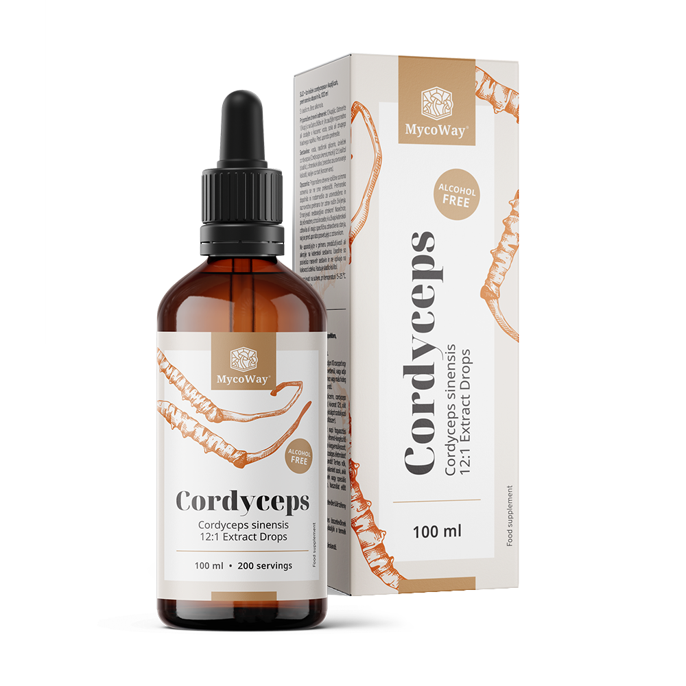 Cordyceps – estratto in gocce