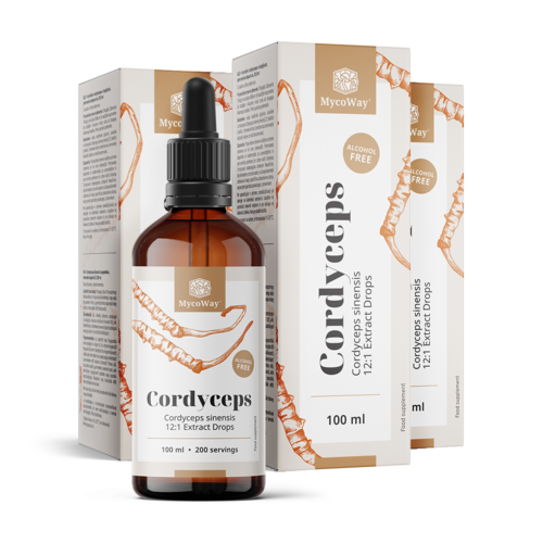 3x Cordyceps – estratto in gocce, totale 300 ml