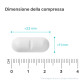 Image preview 1